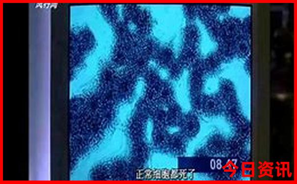 中国的旅游胜地排行榜